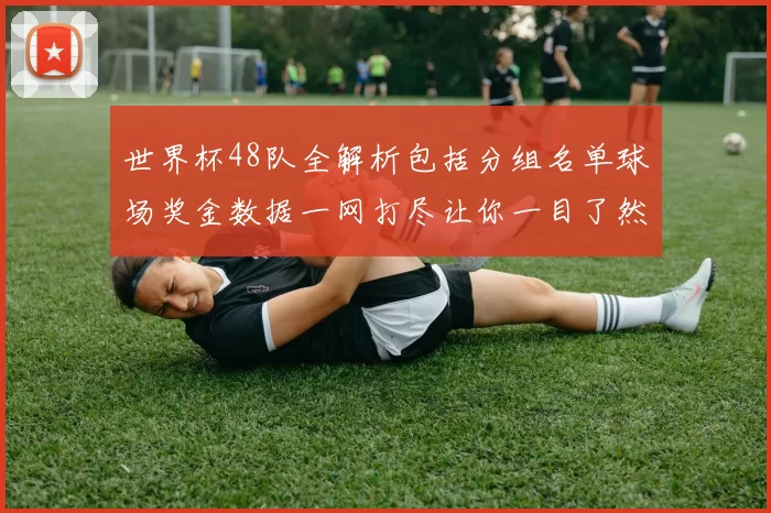 世界杯48队全解析包括分组名单球场奖金数据一网打尽让你一目了然